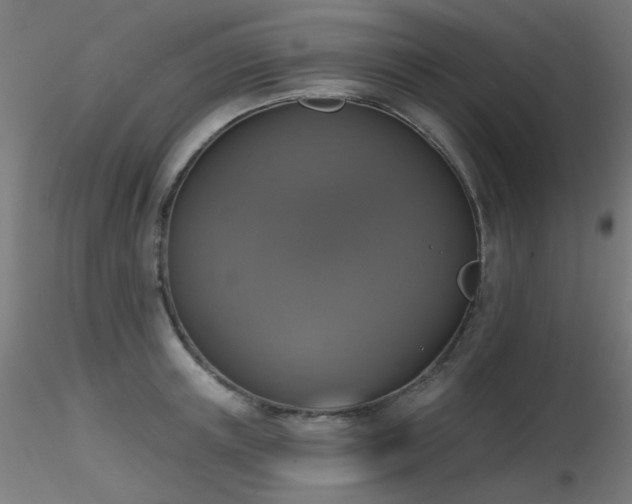 X0000116830851200912181432