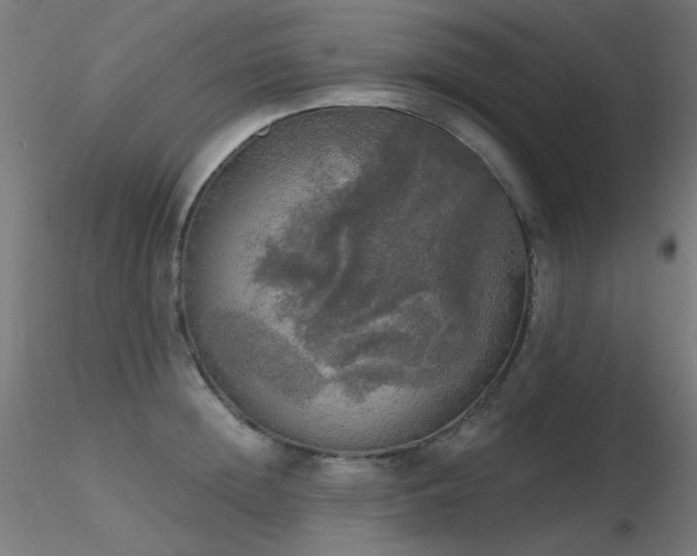X0000116830852200912181432