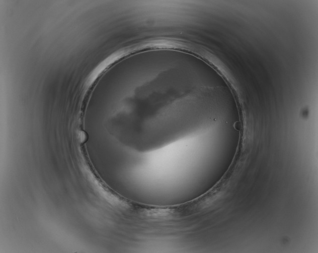 X0000116830853200912181432