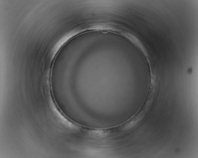 X0000116830855200912181432