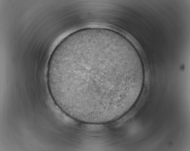 X0000116830856200912181432