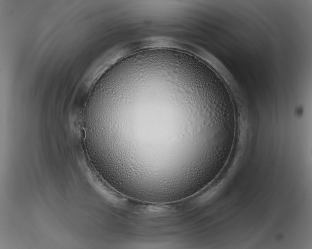 X0000116830857200912181432