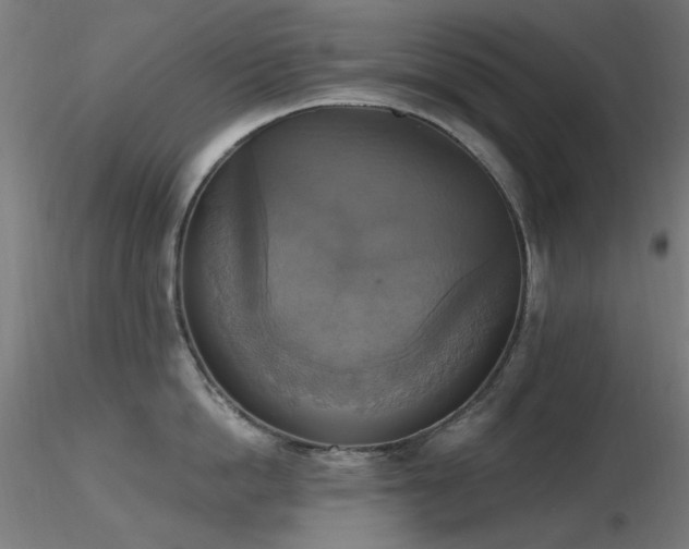 X0000116830862200912181432