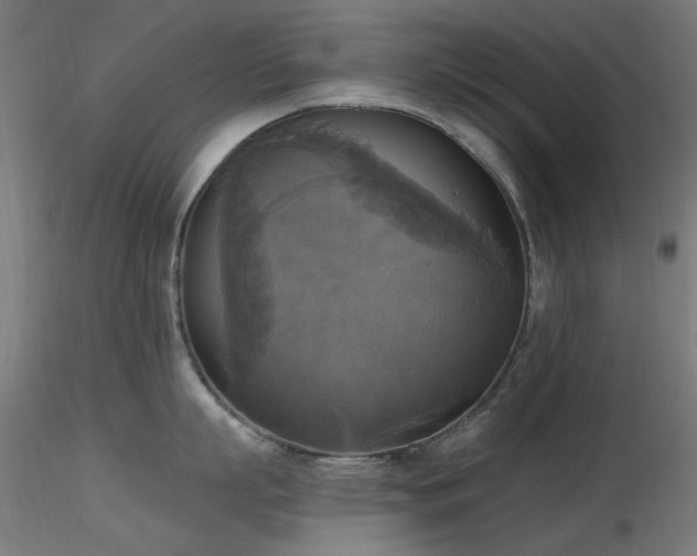X0000116830863200912181432