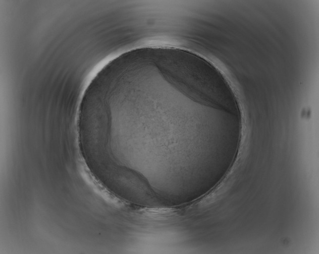 X0000116830864200912181432