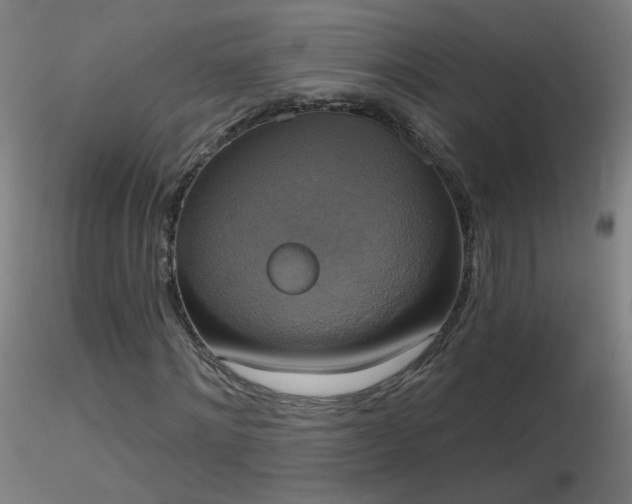 X0000116830868200912181432
