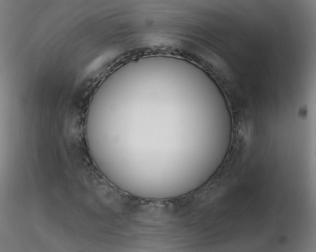 X0000116830869200912181432