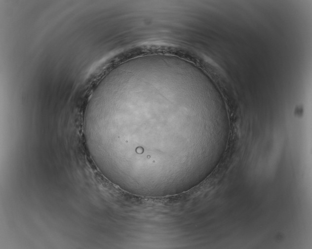 X0000116830870200912181432