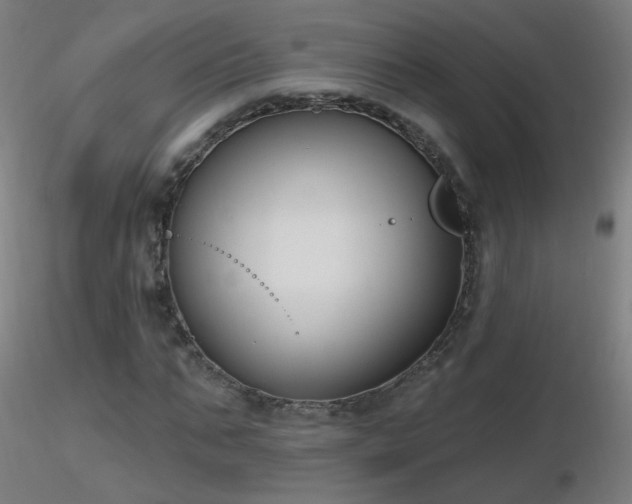 X0000116830871200912181432