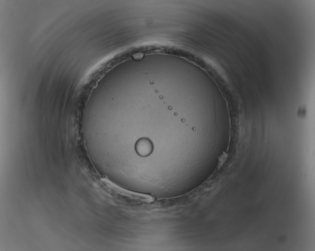 X0000116830872200912181432