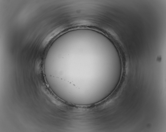 X0000116830873200912181432