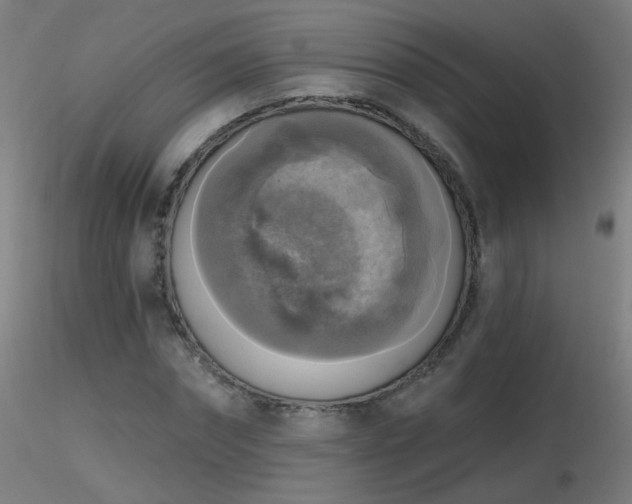 X0000116830874200912181432