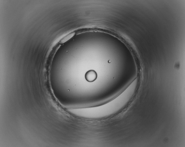 X0000116830876200912181432
