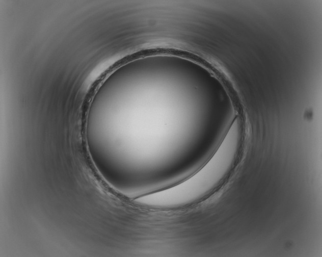 X0000116830877200912181432