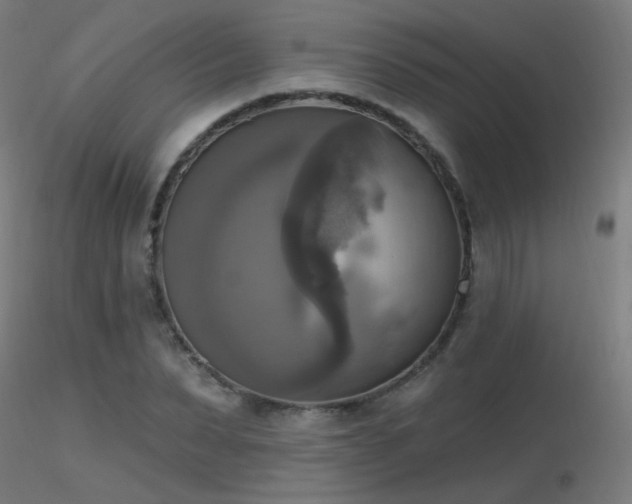 X0000116830879200912181432