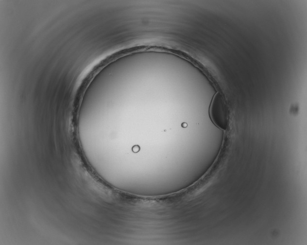 X0000116830880200912181432