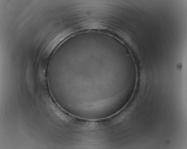 X0000116830881200912181432