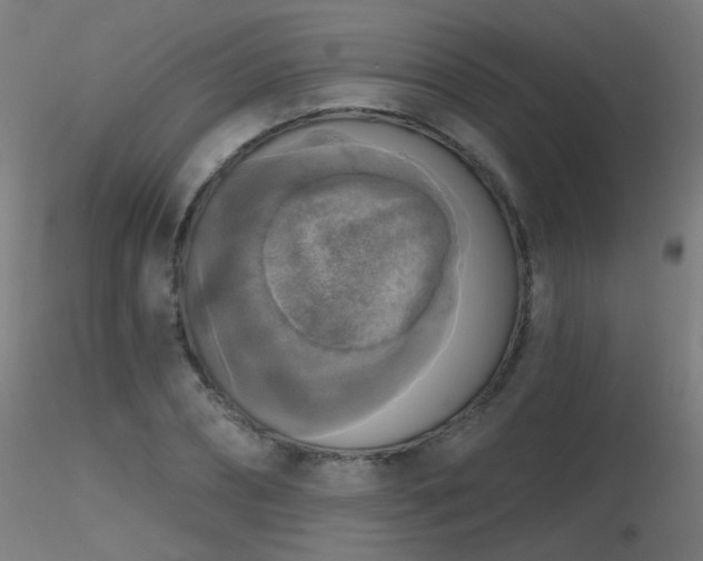 X0000116830882200912181432