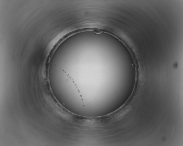 X0000116830883200912181432