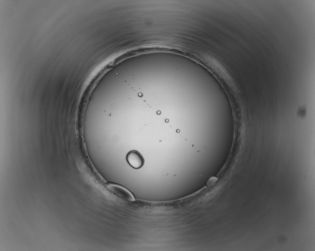 X0000116830884200912181432