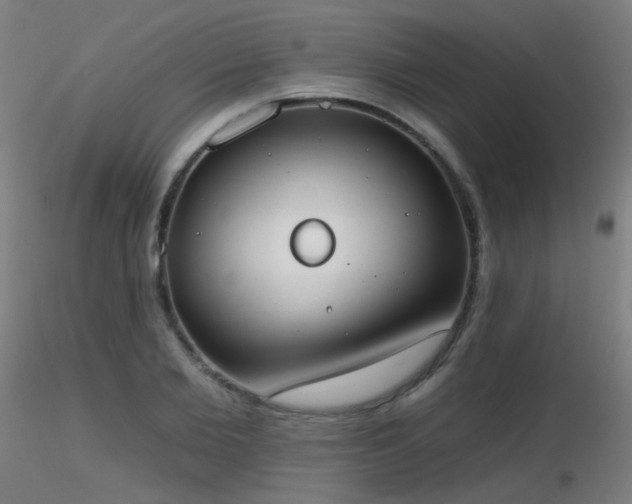 X0000116830885200912181432