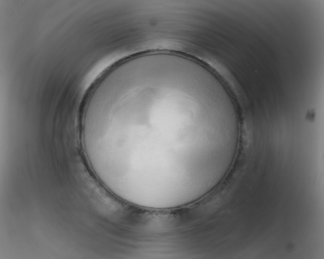 X0000116830886200912181432