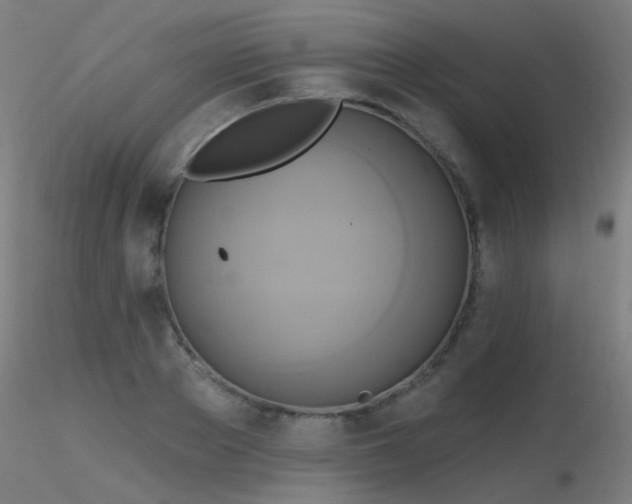 X0000116830889200912181431