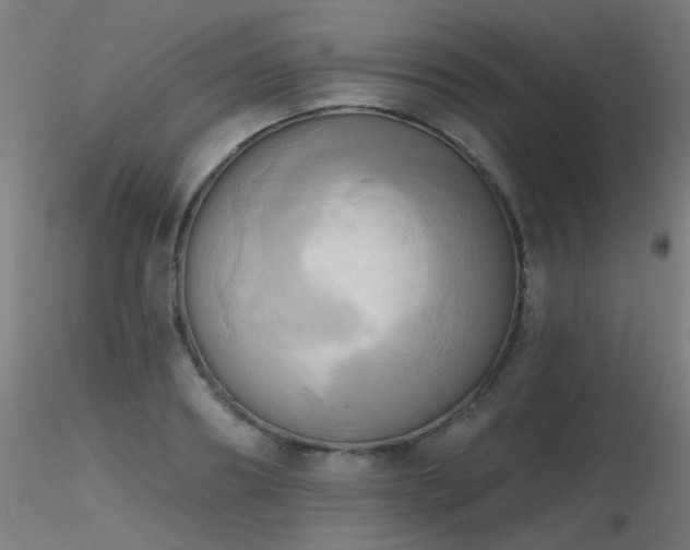 X0000116830890200912181431