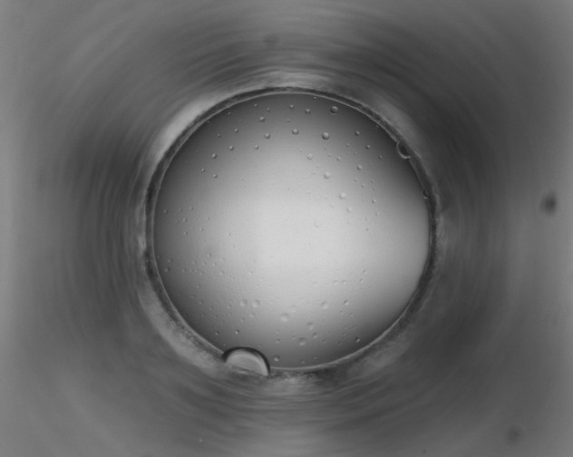 X0000116830891200912181431