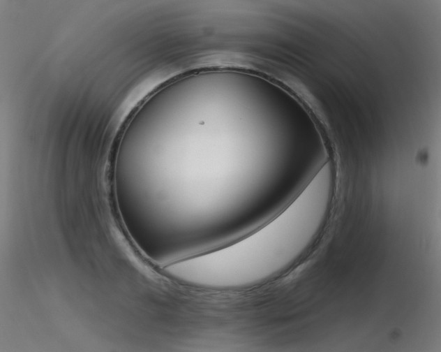 X0000116830893200912181431