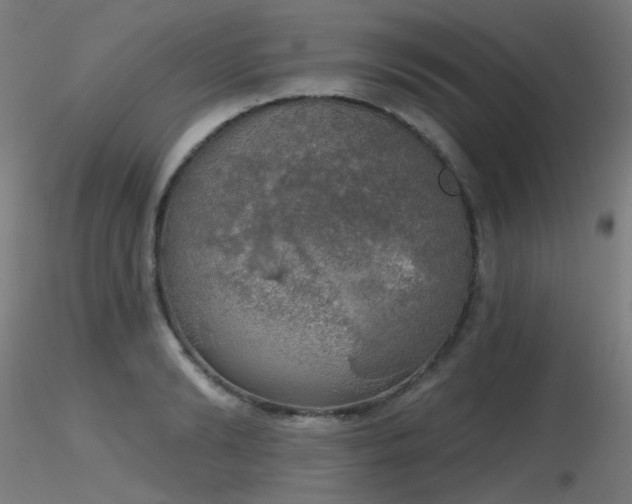 X0000116830894200912181431