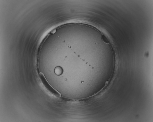 X0000116830896200912181431