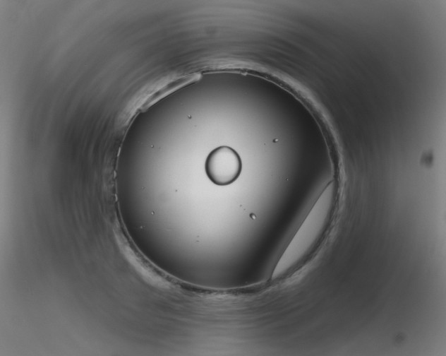 X0000116830897200912181431