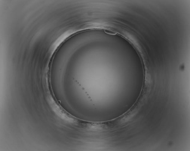 X0000116830899200912181431