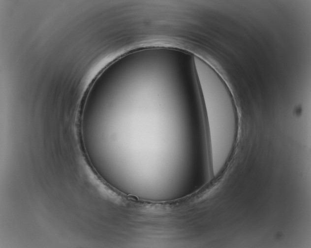 X0000116830901200912181431