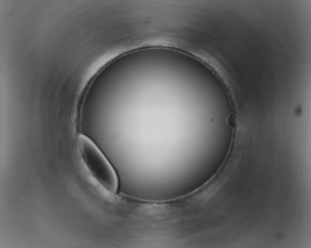 X0000116830902200912181431