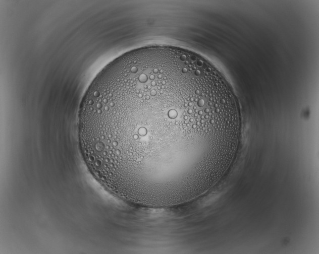 X0000116830903200912181431