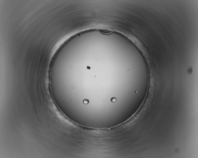 X0000116830904200912181431