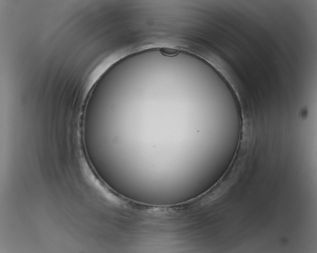 X0000116830906200912181431