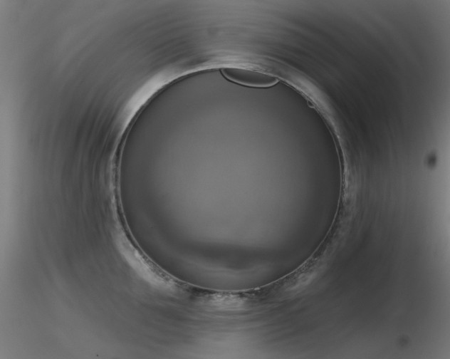 X0000116830907200912181431