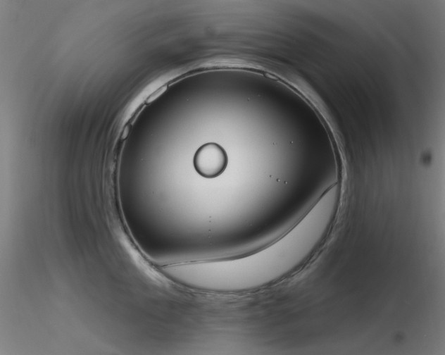 X0000116830909200912181431