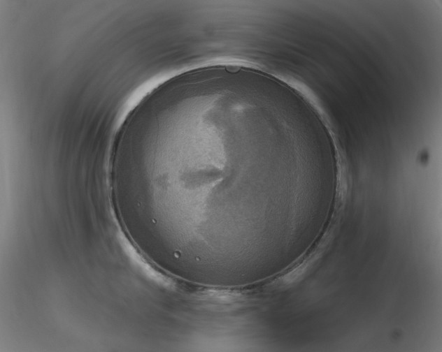 X0000116830910200912181431