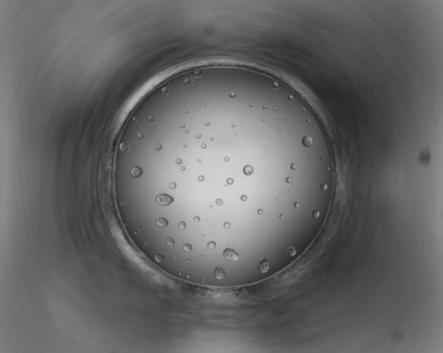 X0000116830911200912181431