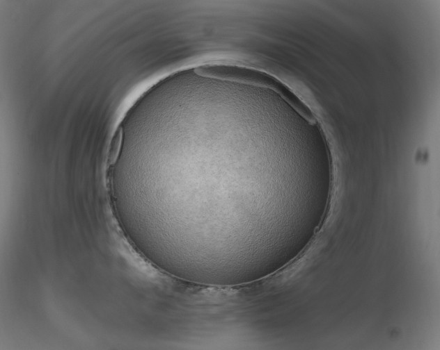 X0000116830912200912181431