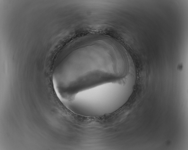 X0000116830913200912181430