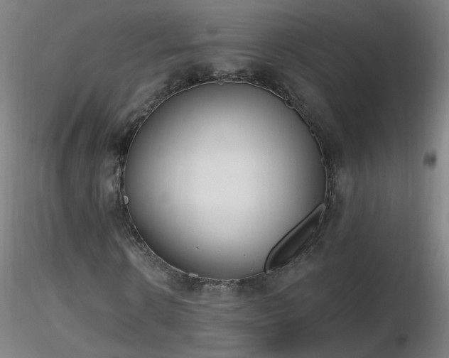 X0000116830914200912181430
