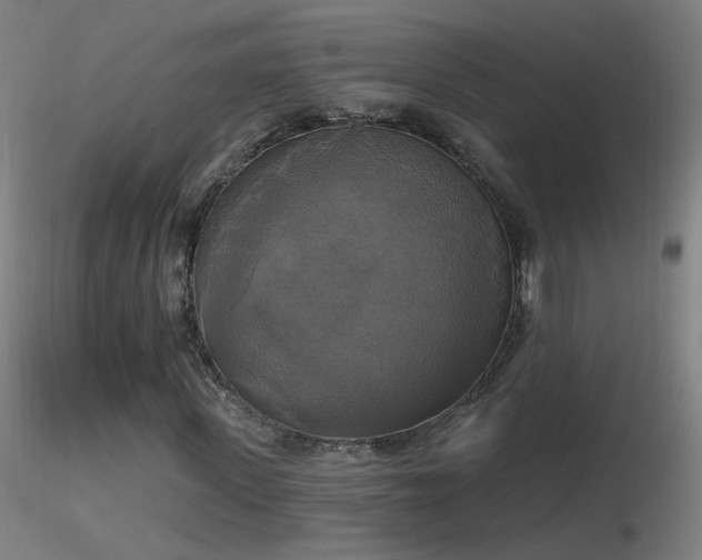 X0000116830915200912181430