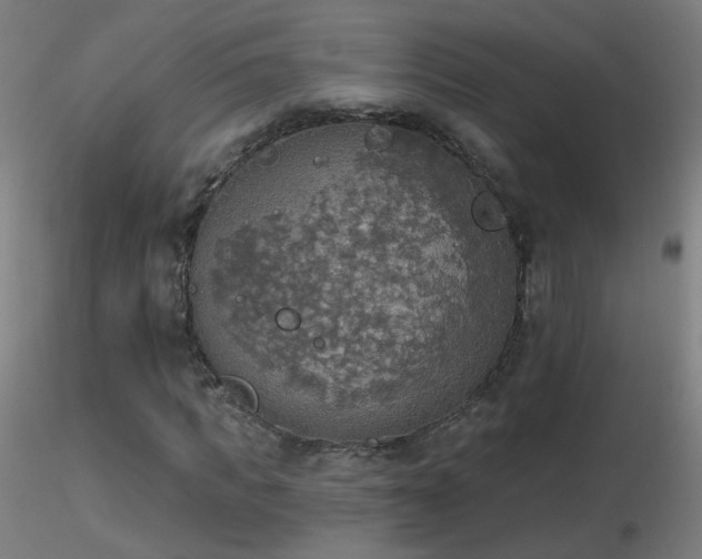 X0000116830917200912181430
