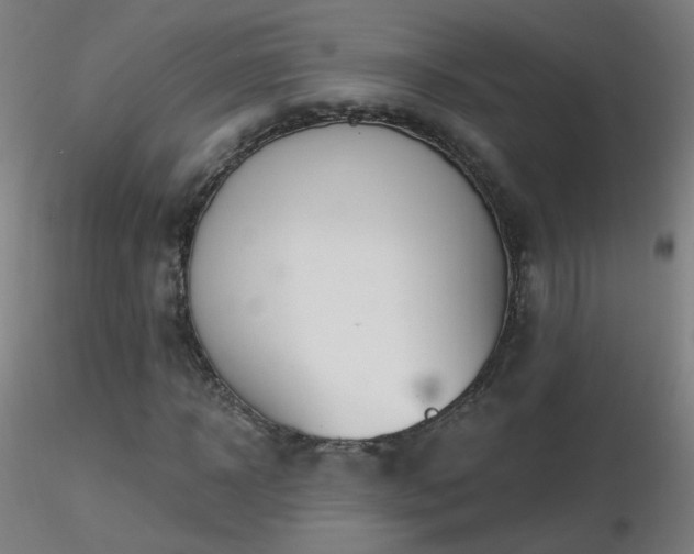 X0000116830918200912181430