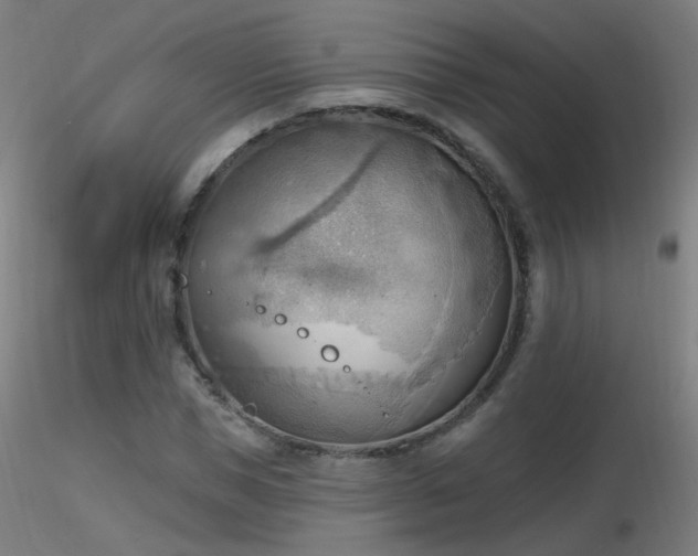 X0000116830921200912181430